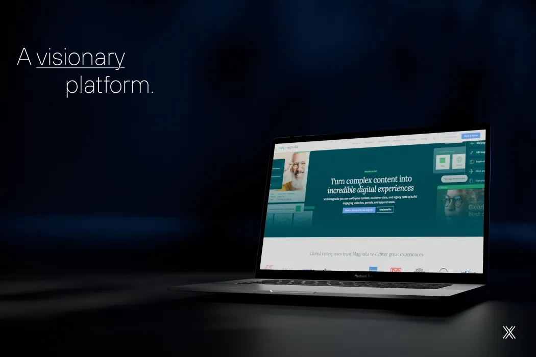 Cover image article Magnolia CMS.