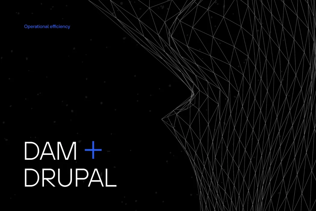 dam + drupal