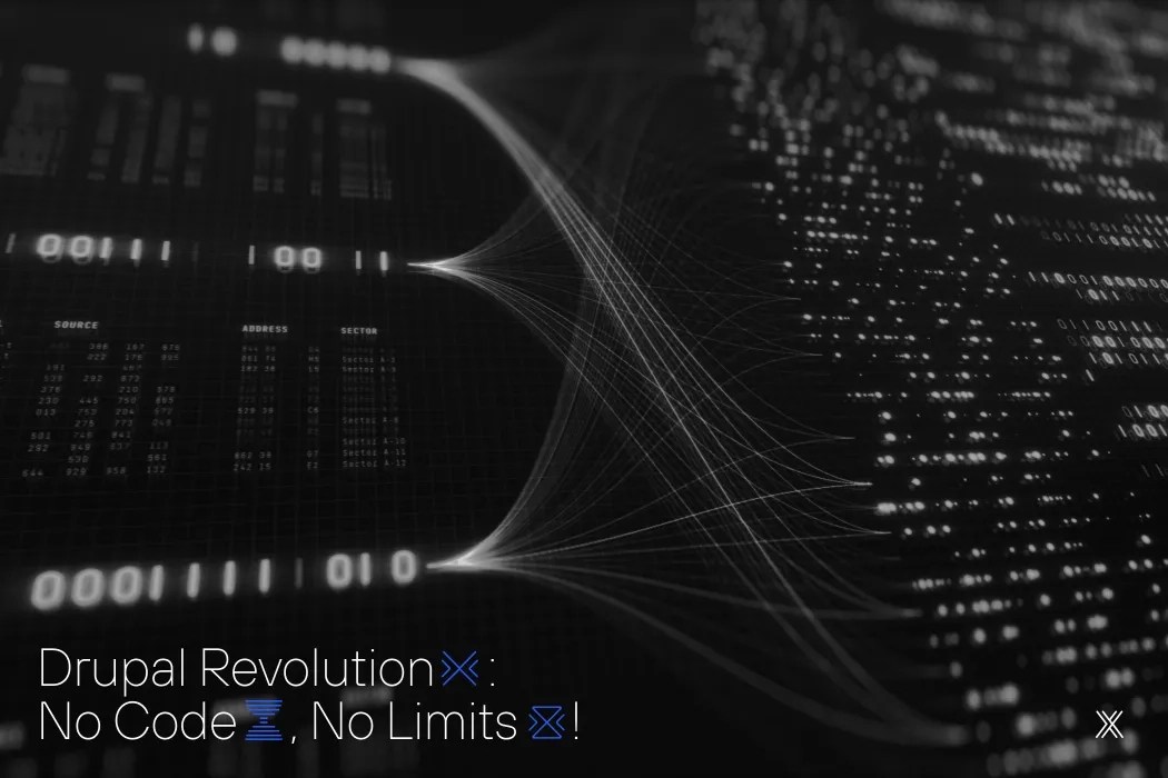 Image article Drupal Canvas.