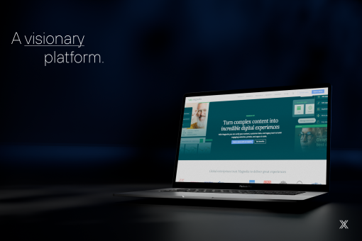 Cover image article Magnolia CMS.