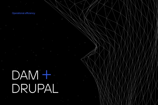 dam + drupal