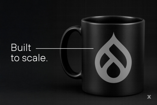Image from the article drupal advantages and advantages.