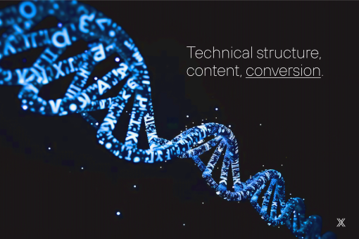 Image article SEO  services for businesses - SEO para empresas.