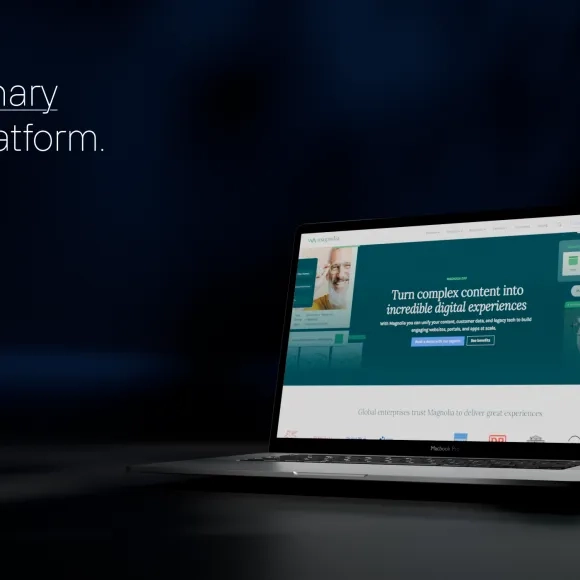 Cover image article Magnolia CMS.