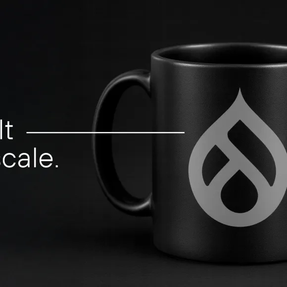 Image from the article drupal advantages and advantages.