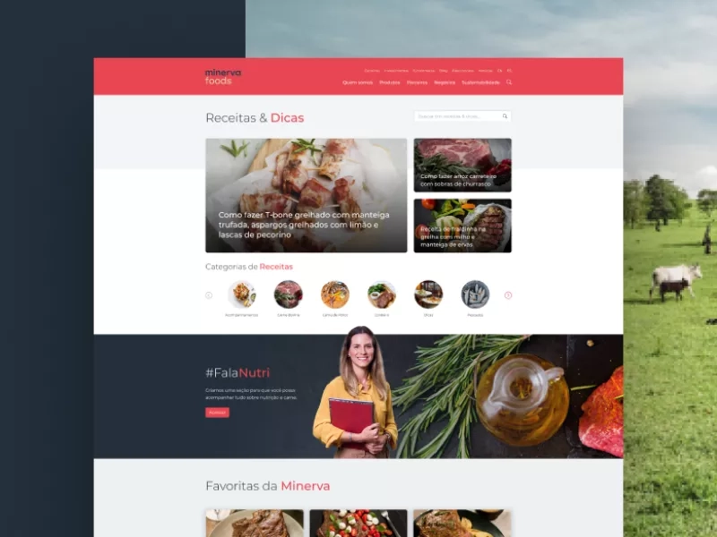 Minerva exemplo de receitas e dicas